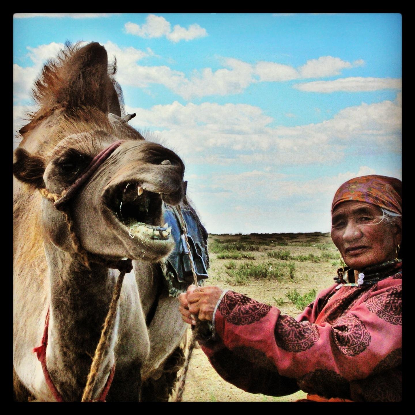 camel-and-nomadic-woman-in-mongolia