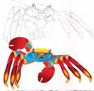 Crab Sketch